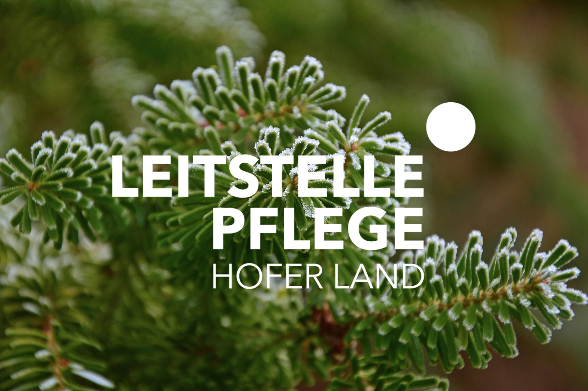 Weihnachtsfeiertage Weihnachtsfeiertage